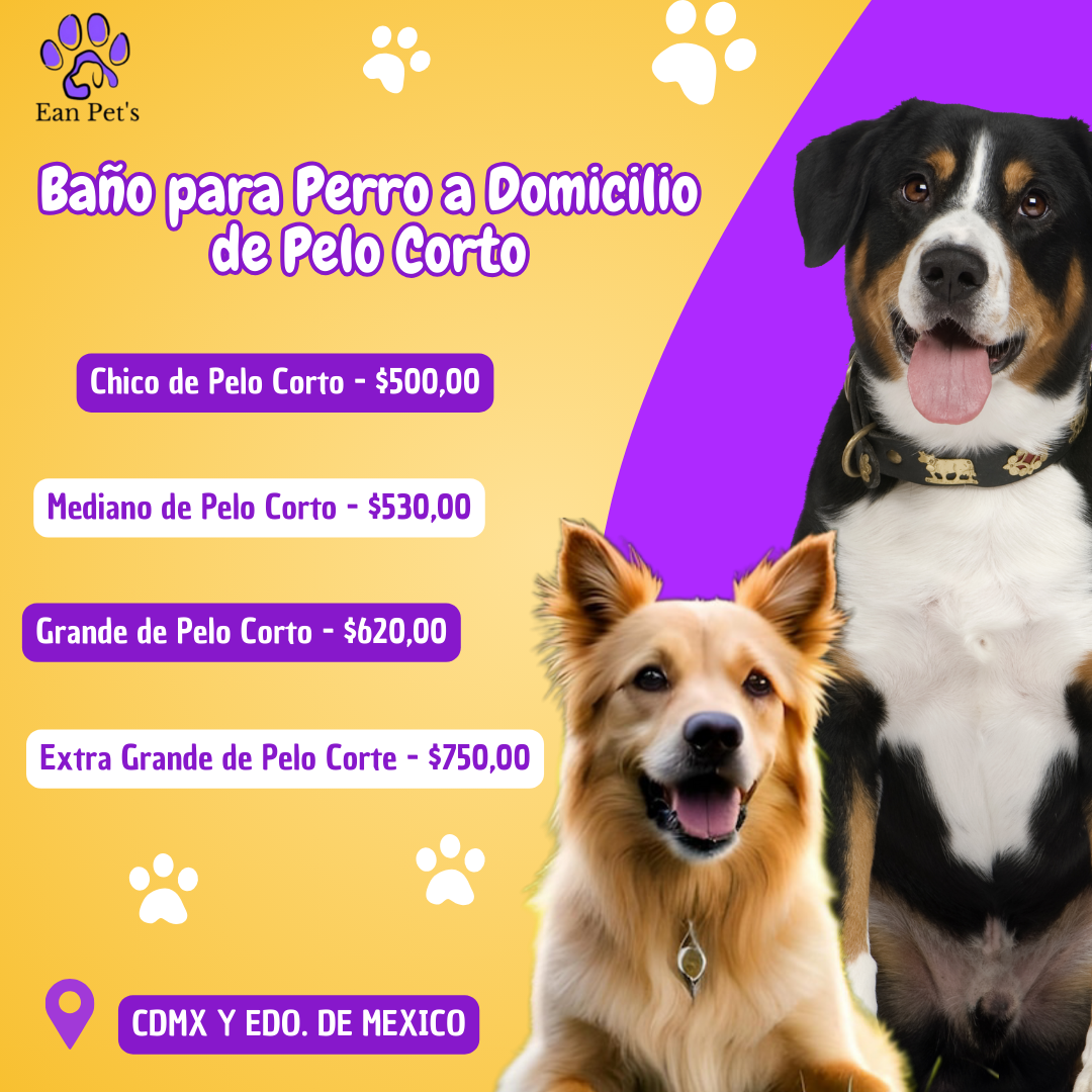 Baño para Perro a Domicilio en CDMX & Estado de México